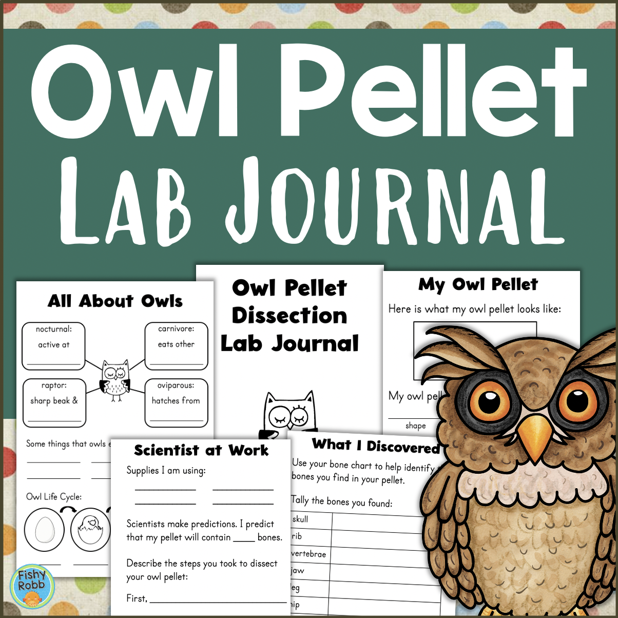 Owl Pellet Dissection Lab Journal OWLS Science Investigation