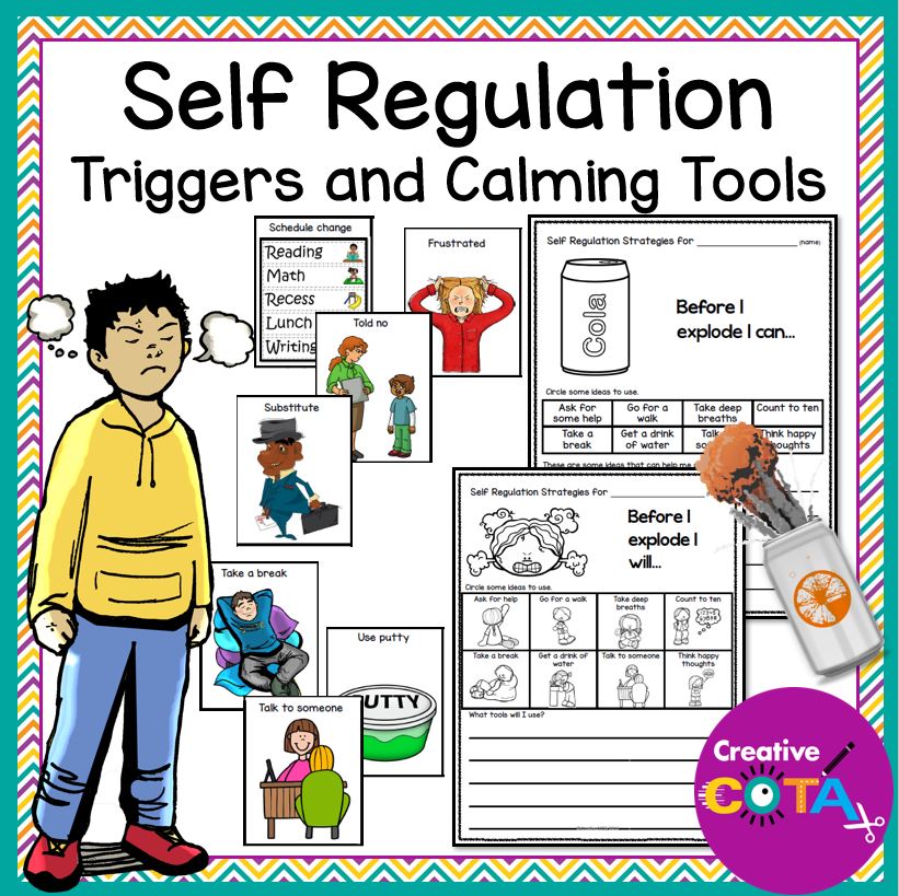 Self Regulation Triggers and Calming Strategies and Tools
