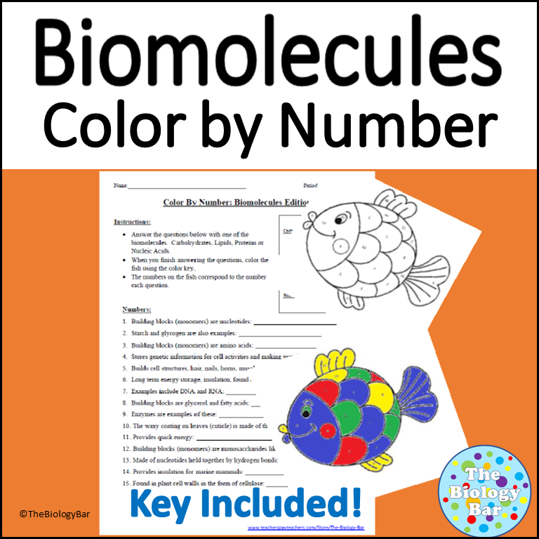 Biomolecules Color By Number