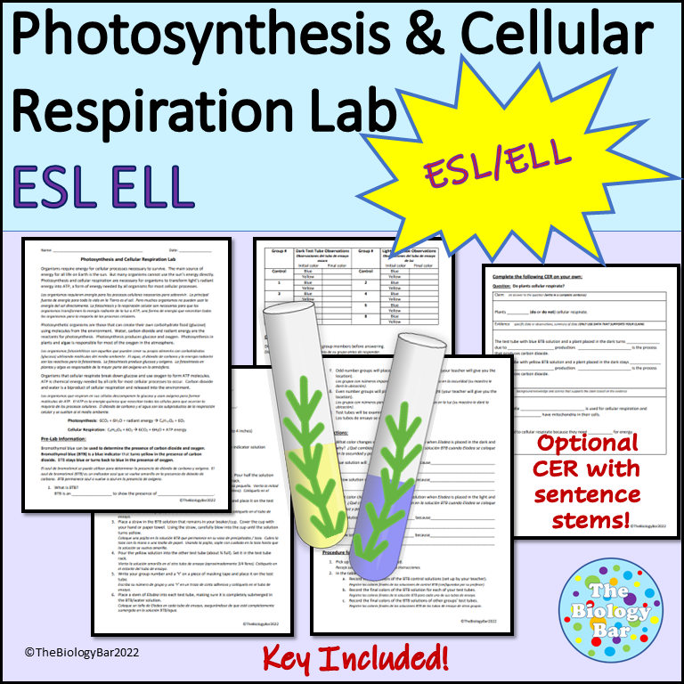 ESL Biology Photosynthesis and Cellular Respiration Lab