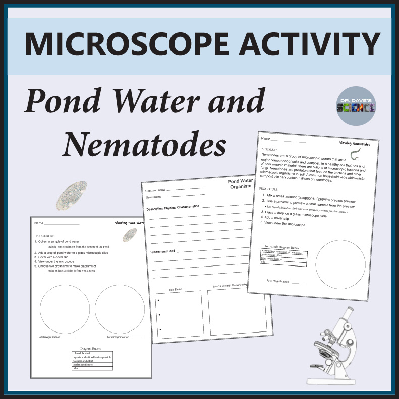 Microscope Slide Lab Activity Worksheet Viewing Pond Water and Nematodes