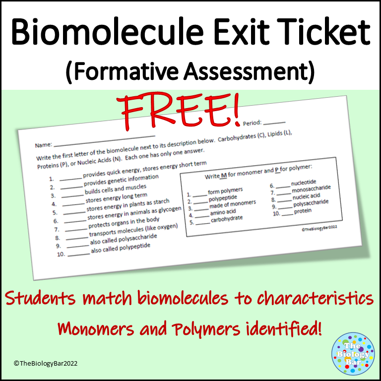 Biomolecules Exit Ticket Formative Assessment