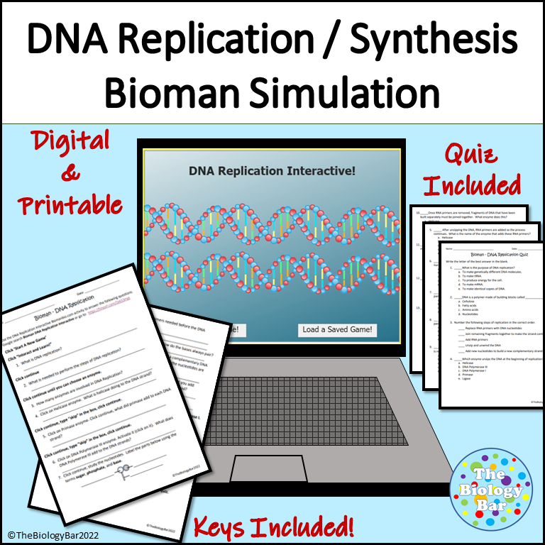 Bioman Simulation DNA Replication DNA Synthesis Worksheet with Quiz