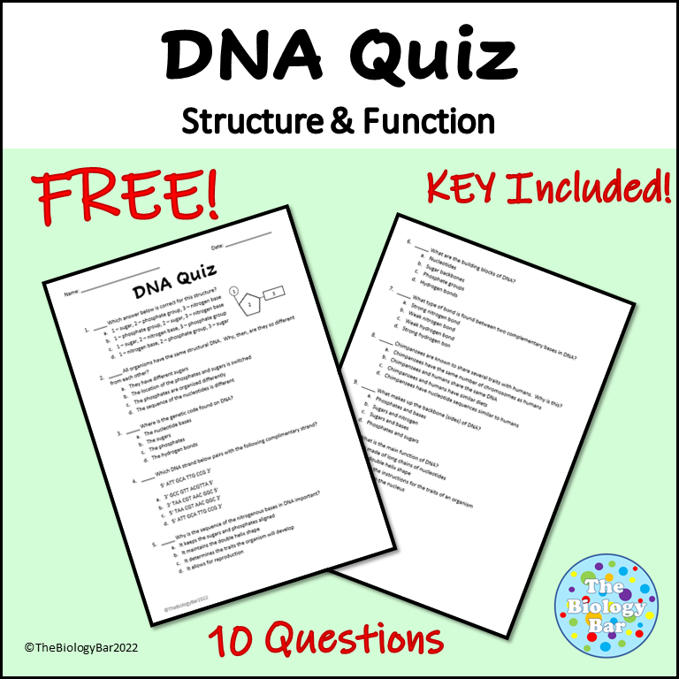 DNA Quiz Multiple Choice Digital Format included