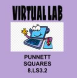 8.LS3.2 Punnett Squares Video Lab