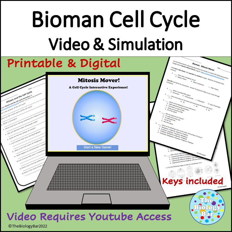 Bioman Cell Cycle Simulation & Video