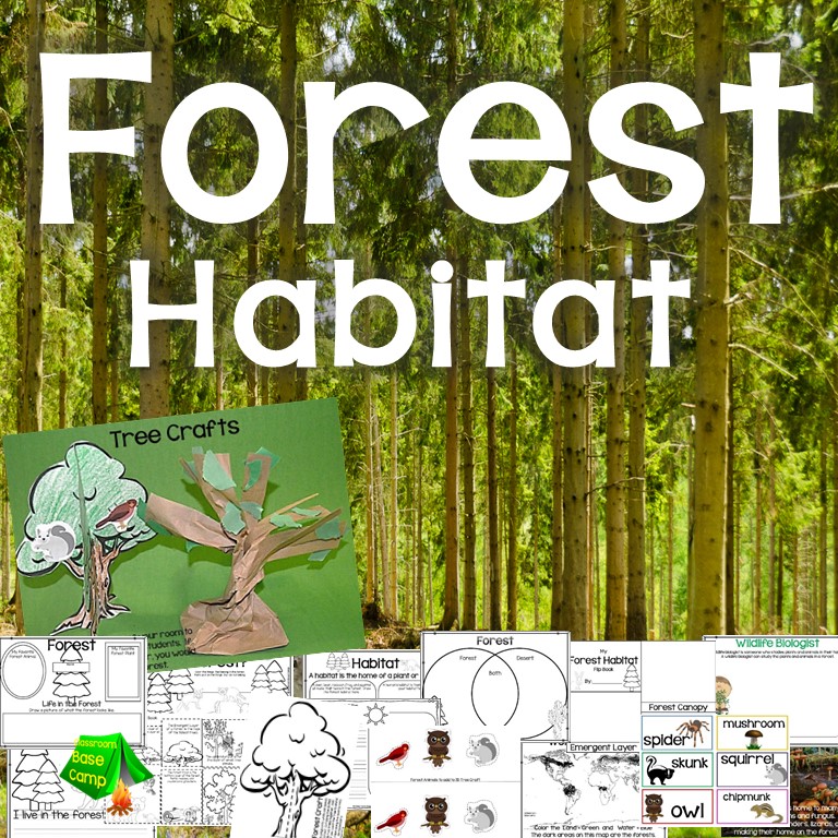 Forest Animals Habitats